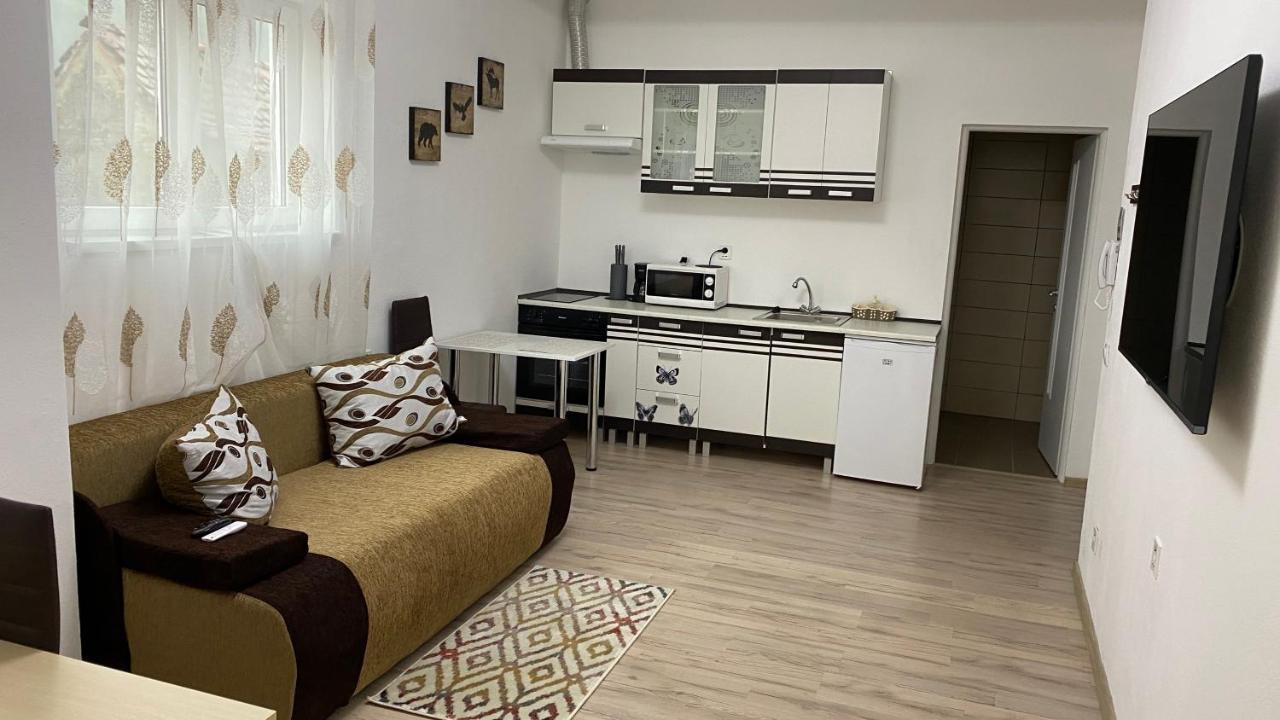 Centralhome Ap1 Sighişoara Dış mekan fotoğraf
