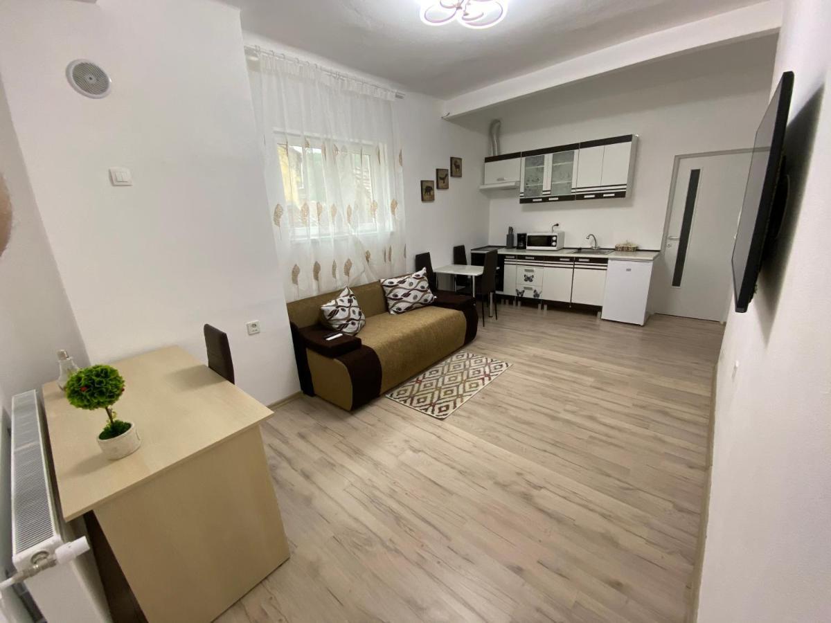 Centralhome Ap1 Sighişoara Dış mekan fotoğraf